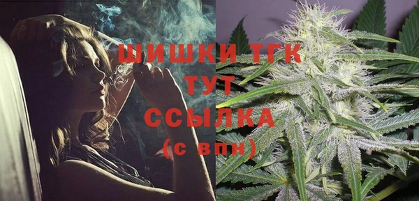 винт Елизово