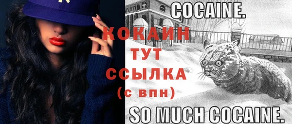 стаф Дмитровск