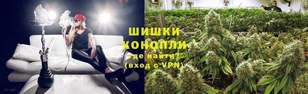 стаф Дмитровск