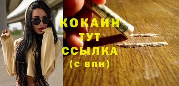 мяу мяу кристалл Ельня