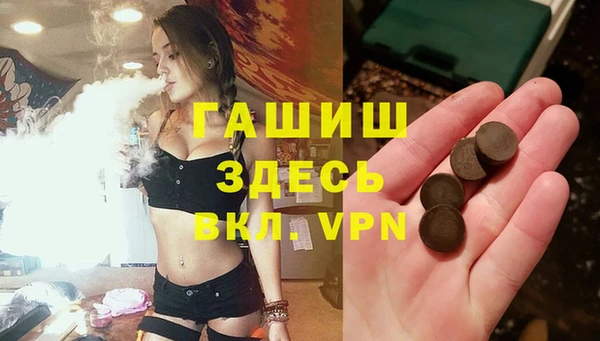 стаф Дмитровск
