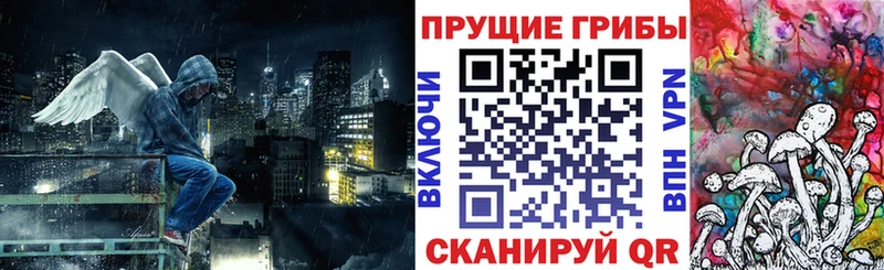 Купить  Мичуринск  Галлюциногенные грибы MAGIC MUSHROOMS 