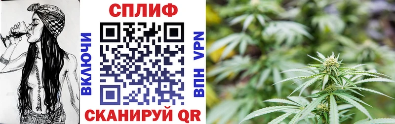 Бошки Шишки план Мичуринск